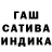 ГАШ гарик Atai Rysakov