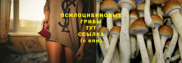эйфоретик Заволжье